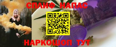 бошки Дубна