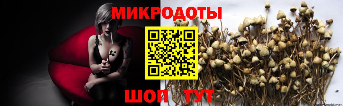 Можайск  Псилоцибиновые грибы мухоморы  Вход с VPN 